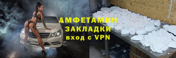 индика Бородино