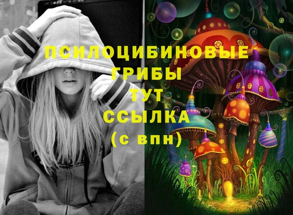 твердый Верхний Тагил