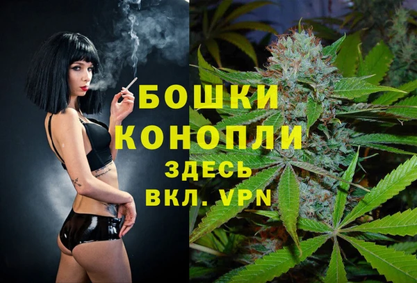 твердый Верхний Тагил