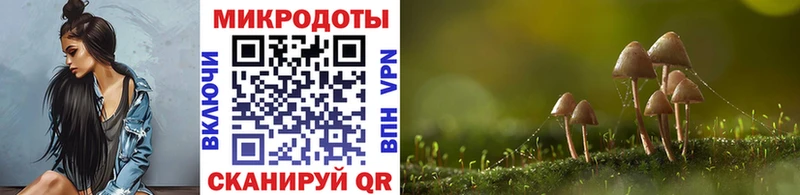 Галлюциногенные грибы Cubensis  Купить закладки  Лобня 